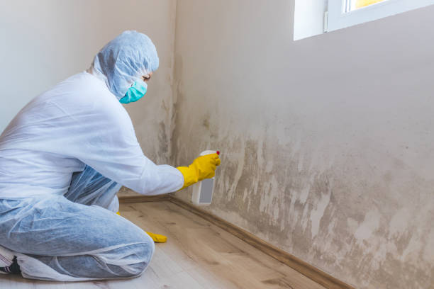 Mold Remediation specialist working in Viewtown