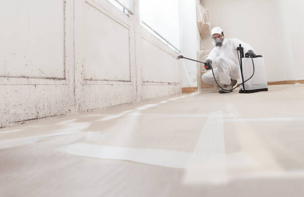 Black mold remediation team in Viewtown
